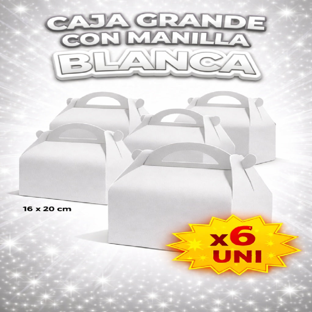 Caja Grande con Manilla x6 - Decoración Cumpleaños y Fiesta