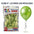Globos 9 Pulgadas Metálicos x25 - Globos de Fiesta