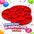 Bandejas 6 Compartimentos x3 Unidades – Bandejas para Snacks