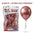 Globos 9 Pulgadas Chrome x25 - Globos de Fiesta